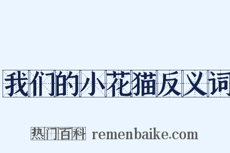我们的小花猫反义词是什么意思的图片
